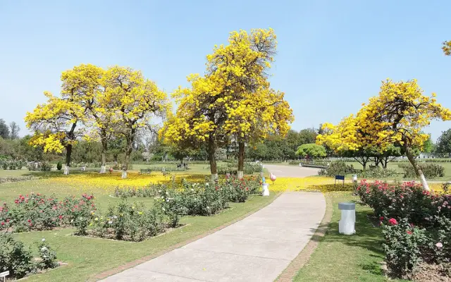 Places To Visit in Chandigarh For Couples: Rose Garden