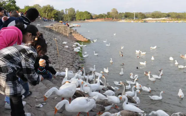 2 sukhna lake introduction