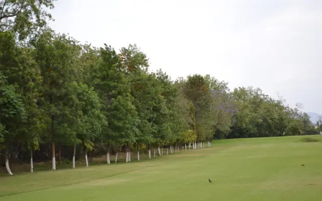 Places To Visit in Chandigarh For Couples: Chandigarh Golf Club: attraction 3