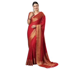 Karwa Chauth Dresses: Akhilan Georgette Saree