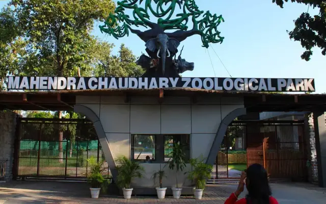 Places to Visit in Chandigarh with friends | Chhatbir Zoo | Intro 2